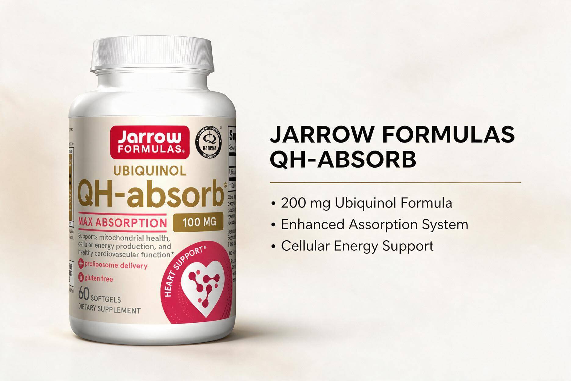 cardiovascular-support-img-3