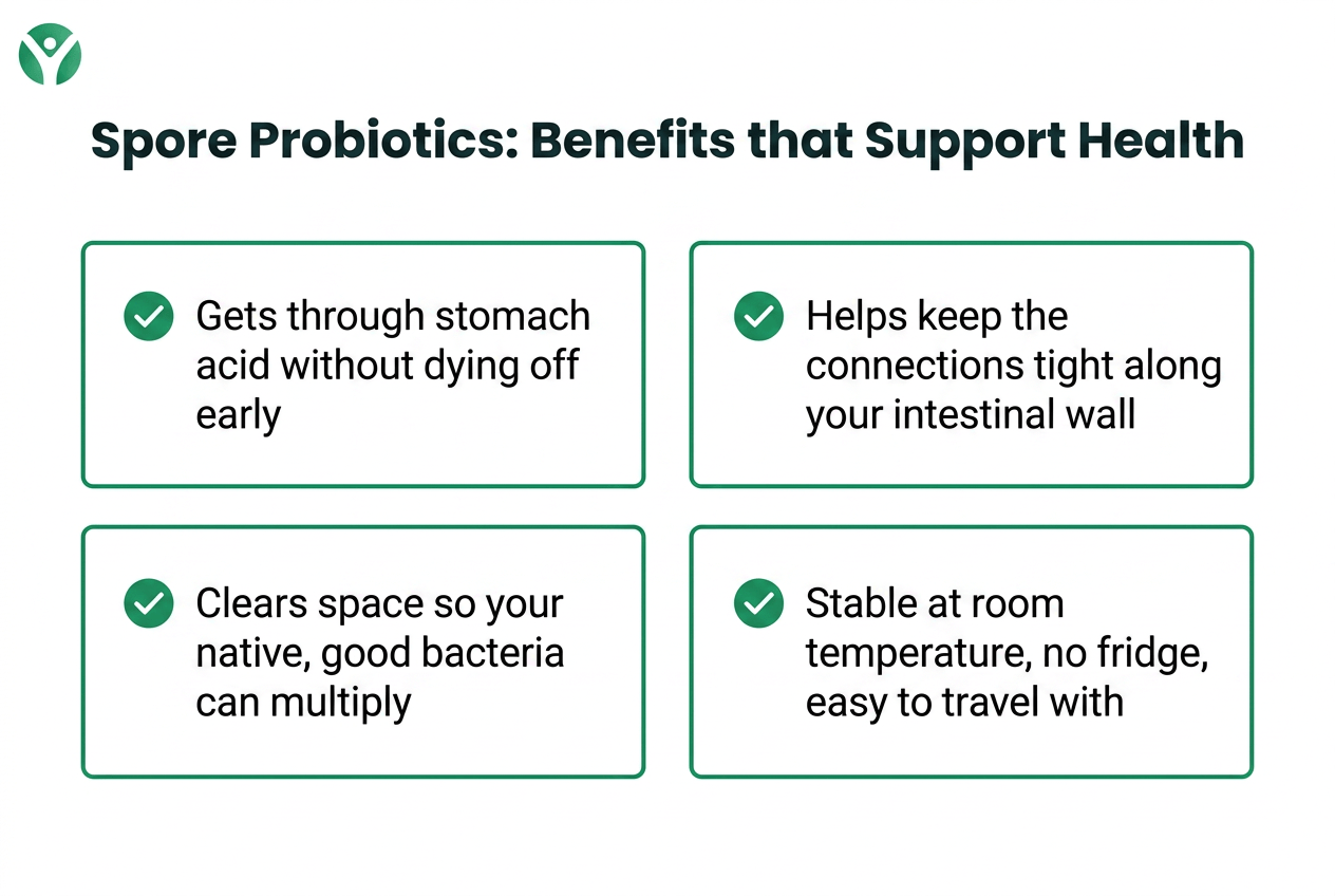 spore-based-probiotics-img-4
