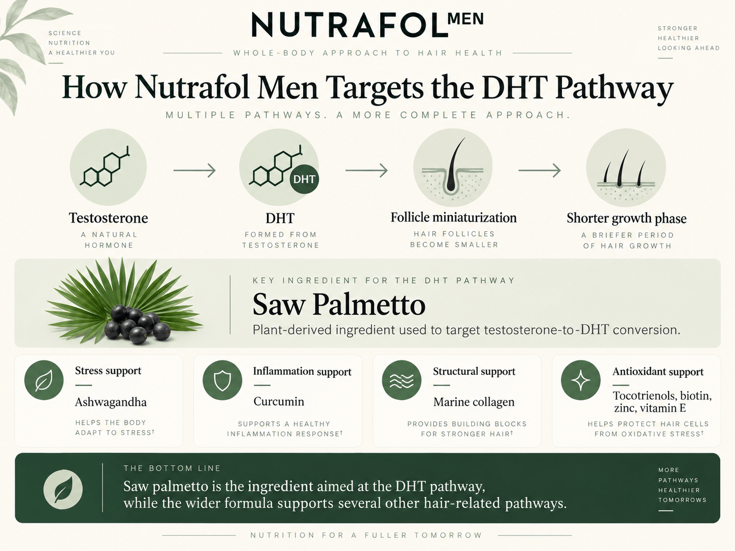 nutrafol-men-img-2